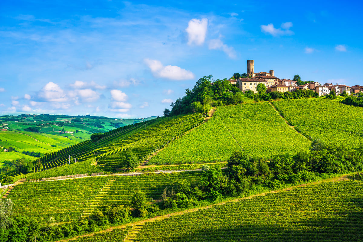 langhe vineyards sunset panorama castiglione fall 2021 08 26 22 33 12 utc