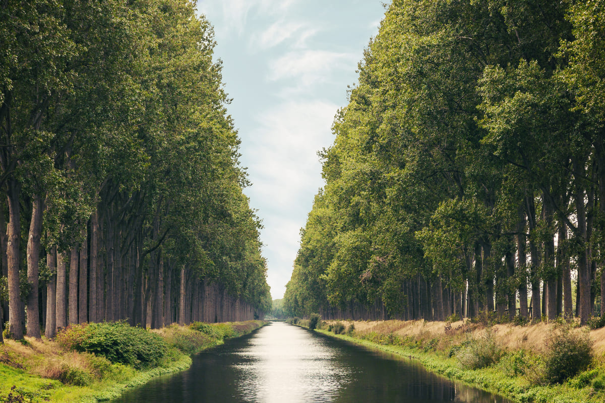 the damme canal in the belgian province of west fl 2022 11 24 19 36 07 utc11