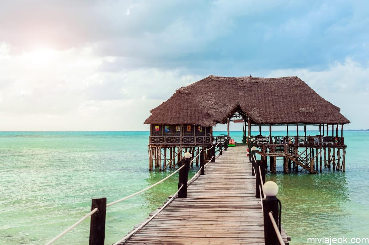 jetty on the zanzibar rest in the tropics 2022 11 16 16 07 05 utc
