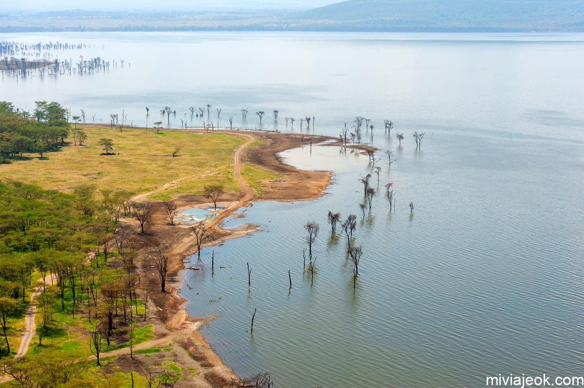 view on the lake nakuru africa kenya 2022 02 01 23 44 11 utc