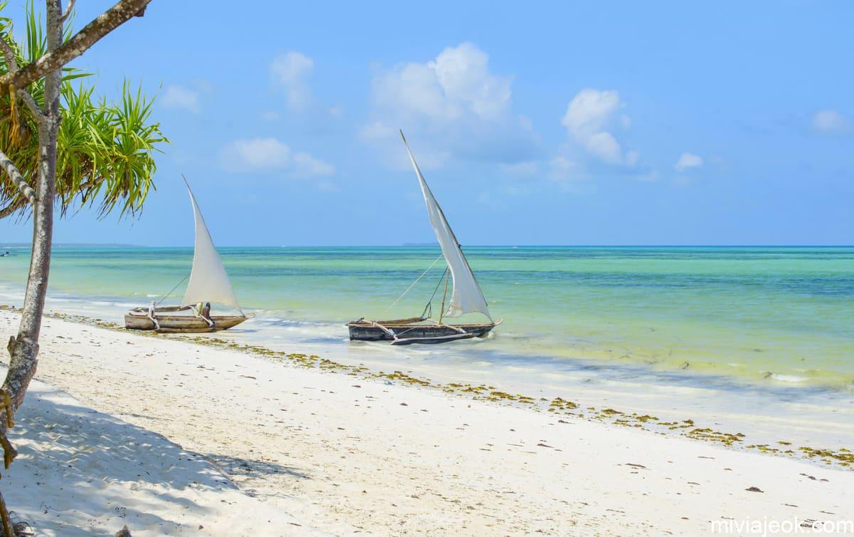 zanzibar landscape 2022 11 12 09 05 30 utc
