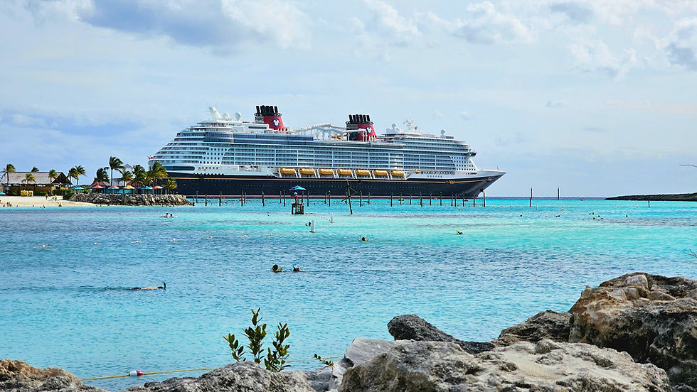 descubre el crucero mas economico y navega sin preocupaciones